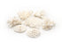 little wonders coral 7 pieces